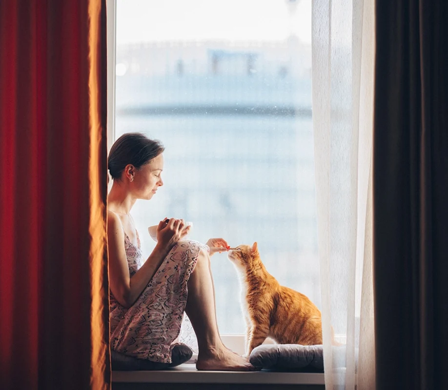 Plise sineklik stor sineklik sürme sineklik – modern sineklik çözümleri